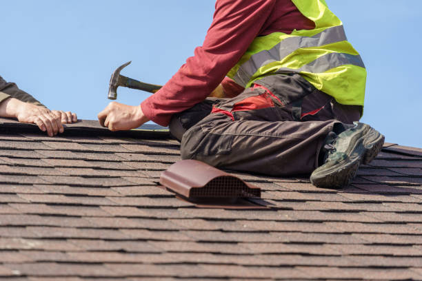 Best Roof Restoration Services  in Tremont, IL