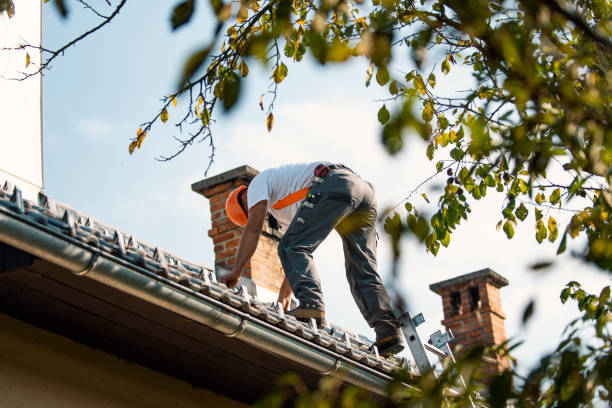 Best Roof Gutter Cleaning  in Tremont, IL