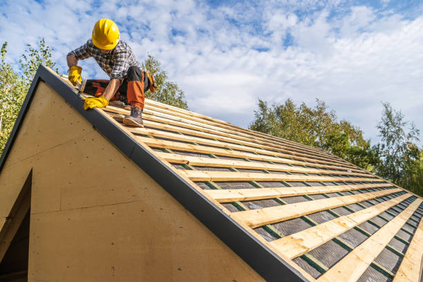Best Storm Damage Roof Repair  in Tremont, IL