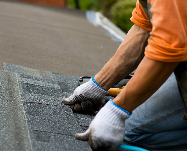 Roof Repair Estimates in Tremont, IL